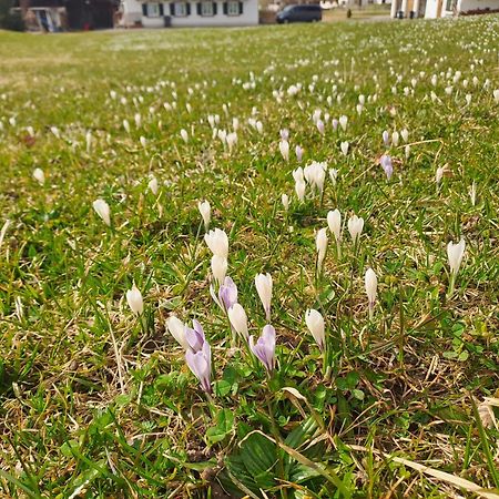 Bauernhaus Jocher Krün Exteriér fotografie