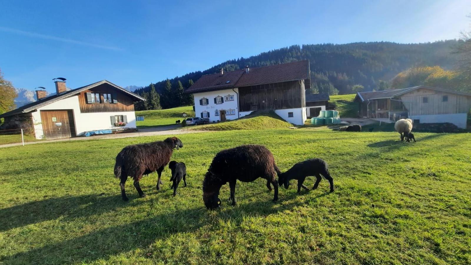 Bauernhaus Jocher Krün Exteriér fotografie