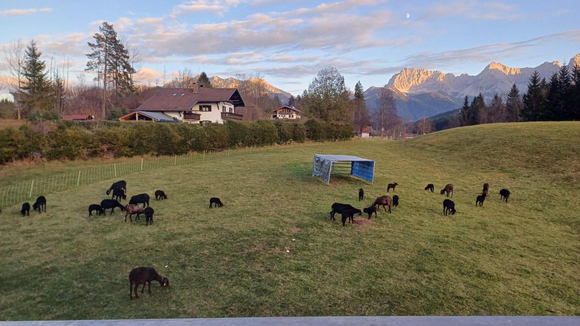 Bauernhaus Jocher Krün Exteriér fotografie
